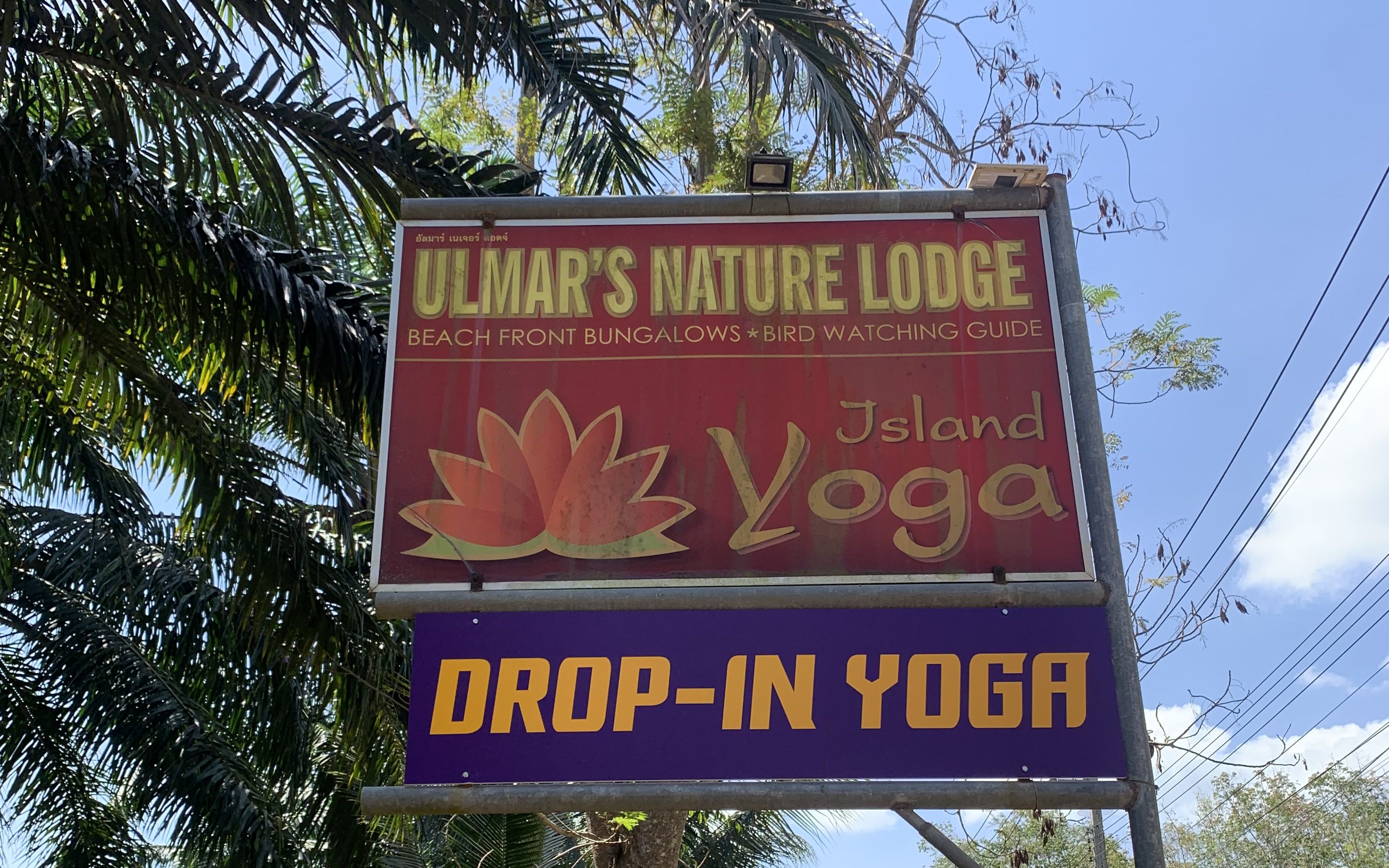 This image has an empty alt attribute; its file name is yoga-edited.jpg