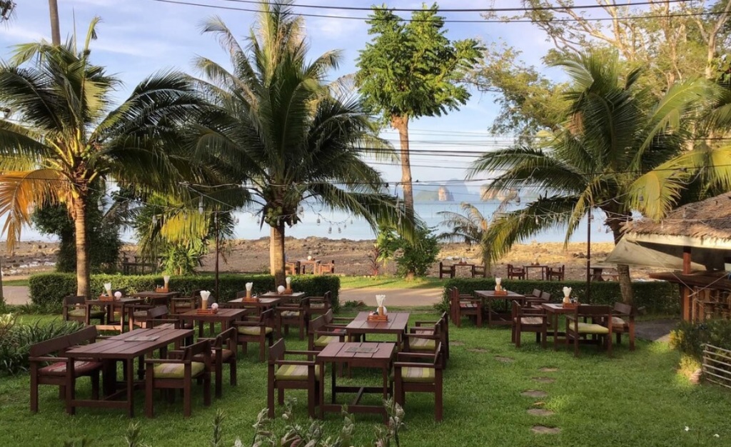 This image has an empty alt attribute; its file name is rice-paddy.jpg