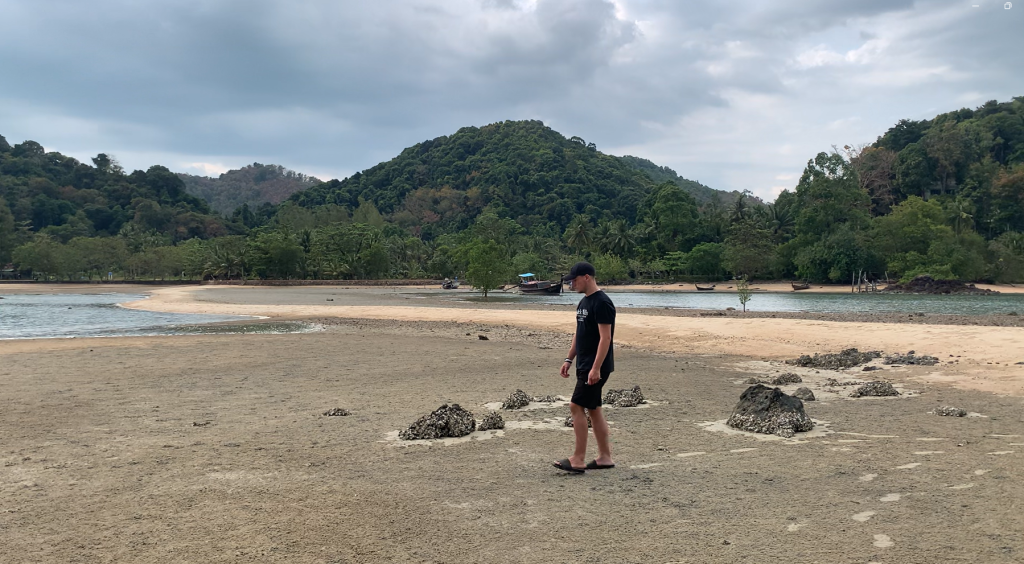 This image has an empty alt attribute; its file name is image.png