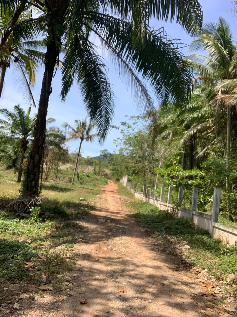 This image has an empty alt attribute; its file name is path-to-six-sense-beach-2.jpg