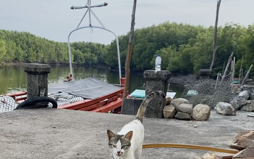 This image has an empty alt attribute; its file name is fishing-village-edited.png